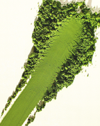 organic kanayamidori